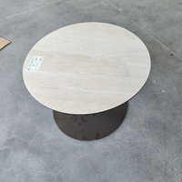 Ensemble de table basse moderne pour salon avec cadre en acier inoxydable et plateau en verre trempé, design réglable pour un usage domestique