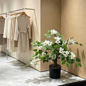 Bonsaï artificiel réaliste <span class=keywords><strong>en</strong></span> <span class=keywords><strong>bougainvillier</strong></span> <span class=keywords><strong>blanc</strong></span>, plante <span class=keywords><strong>en</strong></span> <span class=keywords><strong>pot</strong></span> de 45 cm, petite fausse verdure <span class=keywords><strong>en</strong></span> <span class=keywords><strong>pot</strong></span> pour la décoration de la maison, du bureau, de l'hôtel ou de la table - Product Image 5