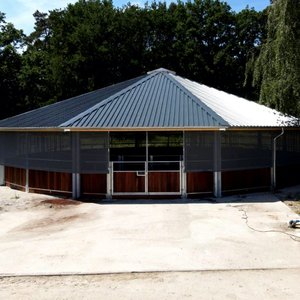 Macchina per l'allenamento dei cavalli all'aperto, prodotti per sport equestri da stalla, Horse Walker - Product Image 1