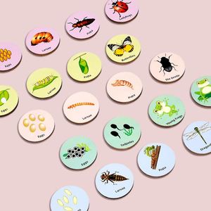 Homeschool Supplies Activities Toy Children Ladybug Butterfly Bee Insect Life Cycle <b>Puzzle</b> Sets - Product Image 2