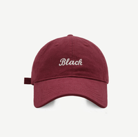 Gorras de béisbol ajustables profesionales Unisex Gorras de viaje deportivas lavables de alta calidad con logotipo personalizado para hombres y mujeres