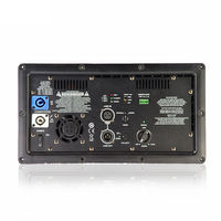 Grande Promotion Module Amplificateur de Puissance Classe D Professionnel 1000W avec Boîtier Métallique pour Caisson de Basses