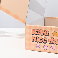 Échantillon gratuit de boîte d'avion en carton ondulé pliable en gros Emballage couleur imprimé personnalisé Boîte en carton d'expédition