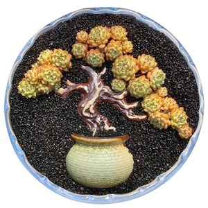 Hot bán cây gốm chi nhánh trang trí trang trí thân cây cảnh quan mọng nước Chậu hoa làm vườn sứ Bonsai - Product Image 6