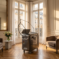 Laser professionnel d'épilation 755/1064nm à double impulsion, grande spotte de 20 mm, pour dermatologie, élimination vasculaire, rajeunissement rapide en milieu hospitalier