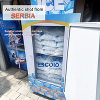Congélateur vertical commercial à température unique pour l'extérieur, bac de stockage de glace, préservateur de glace pour restaurants