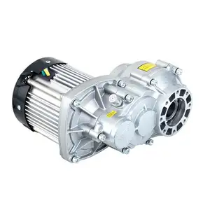 60V 1000W Elektrische Driewieler Voertuig Bldc Borstelloze Gelijkstroomversnelling Elektrische Auto Motor