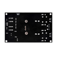Shui Yuan Audio TPA3255 2.0 carte amplificateur numérique DC24-48v forte haute puissance 300W + 300W classe D O carte amplificateur numérique