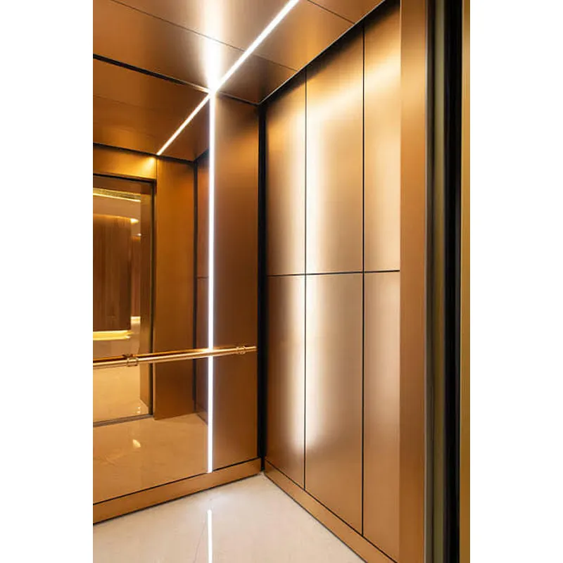 ORIA Design Home Residential Elevator Mordenized Villa Elevator with Hydraulic and AC Drive for Outdoor Application