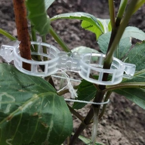 Clips <span class=keywords><strong>de</strong></span> soutien pour plantes grimpantes en plastique <span class=keywords><strong>de</strong></span> jardin <span class=keywords><strong>de</strong></span> 24 mm, clips <span class=keywords><strong>de</strong></span> greffage pour tomates, clips en plastique pour tomates - Product Image 5