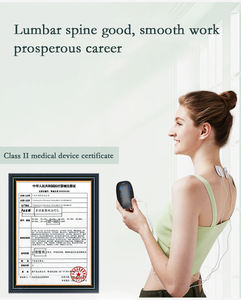 العلاج الطبيعي للجسم العلاج العلاجي لتخفيف الآلام جهاز منخفض التردد المتوسط - Product Image 6