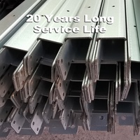 Système de cages automatiques pour poules pondeuses de type A, cages en batterie galvanisées à chaud avec système de collecte des œufs pour les fermes avicoles du Mexique