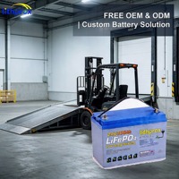 Batterie industrielle LFP 24V 300Ah LiFePO4 Lithium LiFePO4 pour chariot élévateur à bras télescopique RoHS CE UN38.3 FCC OEM ODM Remplacement direct