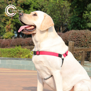 Harnais pour chien en forme de Y sans traction avec attache frontale pour le cou à sangles réglables personnalisées - Product Image 2