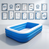 Piscine gonflable pour enfants, adultes et familles, pour extérieur, jardin, en PVC durable, fournisseur direct d'usine OEM