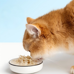 Cibo Umido per Gatti <span class=keywords><strong>Oasy</strong></span> e Alimento Umido per Gatti con Salsa - Product Image 2