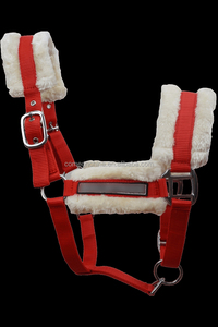 Cabestro de piel occidental, cuerda de caballo, Halter de nailon, brida de carreras, protege la cabeza de la nariz, equipo de equitación, Halter de caballo de piel ecuestre - Product Image 2