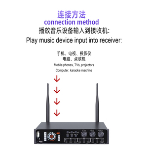 El último micrófono inalámbrico de karaoke con efecto eco y función BT para fiestas en casa, el último producto en el mercado, el más reciente - Product Image 4