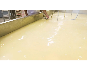 Usine de traitement du lactosérum entièrement automatisée avec contrôle PLC pour la production de lactose, de protéines de lactosérum et de poudre de lactosérum déminéralisé - Product Image 1