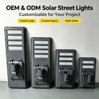 Lampadaire Solaire Tout-en-un 200W 300W 500W, Faible MOQ, Logo Personnalisé, Étanchéité IP65, Fonction Crépuscule à l'Aube pour Projets Routiers Ruraux