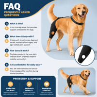 Orthèse réglable pour genou de chien ACL, support rotulien creux antidérapant pour la rééducation des pattes arrière, OEM ODM, approvisionnement en gros