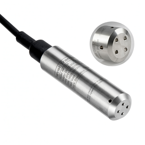 เครื่องมือวัดระดับอุตสาหกรรมสแตนเลส 4-20ma 0.5-4.5V เครื่องมือวัดระดับ - Product Image 3