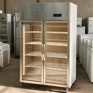 Réfrigérateur-congélateur vertical professionnel à <span class=keywords><strong>double</strong></span> <span class=keywords><strong>porte</strong></span> vitrée en acier inoxydable, refroidi par air, pour viande fraîche - Product Image 4