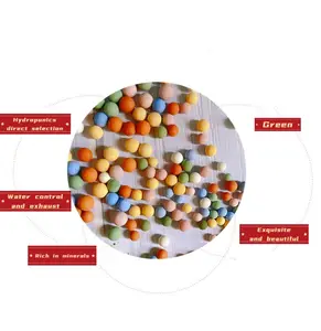 Negative ionen farbene Keramik kugeln Sukkulente Pflanzen nahrungs granulate und Blumen dekorative Keramik körner