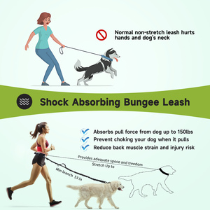 Nobleza guinzaglio retrattile elastico a mani libere per cani con doppia corda elastica e comodo tascabile per piccoli animali - Product Image 5