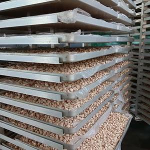 ยาบำรุงสัตว์เลี้ยงชนิดน้ำสำหรับแมว ฟิพ แบบขวดและแบบเม็ด - Product Image 6