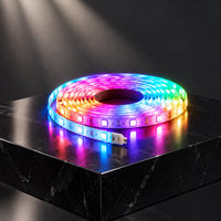 Barre lumineuse LED RGBIC pour moniteur PC 24-34 pouces 5050 60 LED/m 12V 5V USB Bande lumineuse de rétroéclairage pour jeux avec contrôleur de synchronisation et télécommande