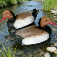 Direct usine, leurre flottant durable pour oiseaux aquatiques, modèle tête rouge-brun, pour la chasse en extérieur, attracteur d'oiseaux aquatiques pour lacs et marais