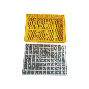 plastic egg tray various size plastic incubator egg tray for incubator