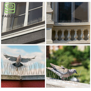 Pointes <span class=keywords><strong>anti</strong></span>-oiseaux en plastique pour <span class=keywords><strong>pigeons</strong></span>, corbeaux, écureuils - Protection extérieure pour clôtures, toits et jardins - Product Image 5