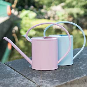 Arrosoir à Long Bec 1 L - Outil De Jardinage Pour Intérieur Et