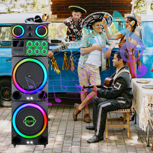 Système de sonorisation pour basse <span class=keywords><strong>en</strong></span> bois GD-1510 200W, moniteur de scène actif professionnel avec deux microphones sans fil - Product Image 5