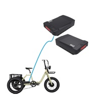 2023 nouvelle batterie de Tricycle Shanshan 2 Sse-198 3 roues batterie électrique pour Tricycle électrique Cargo Tricycle batterie au Lithium