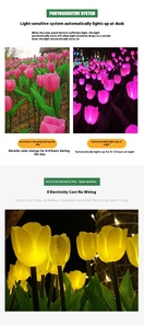 Custom Tulip LED Lawn <b>Light</b> Solar <b>Ground</b> Plug IP65 Rating High CRI 95 Dimmable Garden Courtyard Atmosphere Decoration Lighting - Product Image 5