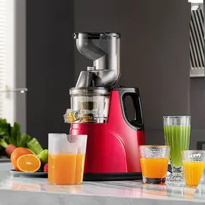 Slow Masticating Juicer Cold Press Juice Extractor Apple Orange Citrus Juicer Machine With Wide Chute Quiet Motor