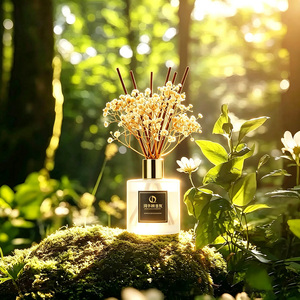 Difusor de Aromas de 200 ml con Aroma Natural a Bosque Crepuscular, Varillas Difusoras con Caja de Regalo Negra Premium para Aromatizar Hoteles - Product Image 3