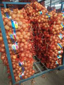 新鮮な黄玉ねぎ 農場直送 皮むきなし 10kg 20kg包装 食品サービス業界 大量購入 - Product Image 2