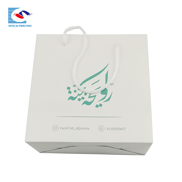 Business Shopping Paper Bag Custom Logo Printed Gift Packaging Paper Bag