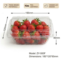 Boîte en plastique PET transparent ventilée et écologique de 500 g pour l'emballage de fruits frais