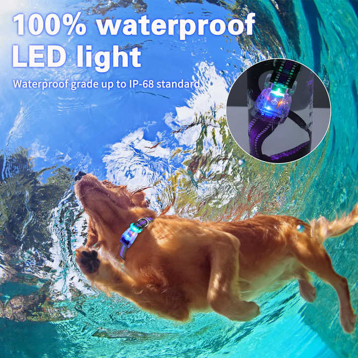 Light up LED Scrolling Display Dog Collar USB Rechargeable LED Flash Dog Collar for Multiple Dogs