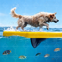 Rampe gonflable en PVC de qualité commerciale pour bateaux et animaux de compagnie, installation facile pour les grands chiens pour la maison, parc aquatique, attractions, vente en gros