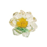 Summer Small Fresh Dried Flowers Small Daisies Resin Accessories Diy Earrings Headdress Female Phone case Materials Wholesale