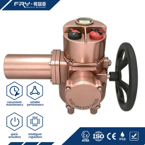 Motor de Inducción Tipo Ardilla de 2500 Nm, IP67, 4-20 mA, Compacto y de Construcción Ligera W - Product Image 1