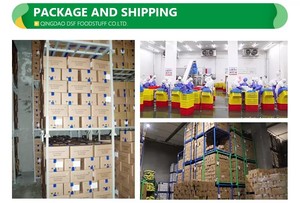 Cebolla Roja Congelada IQF en Cubos, Rodajas y Anillos, Certificada BRC/HACCP, Venta al por Mayor para Servicios de Alimentación - Product Image 5