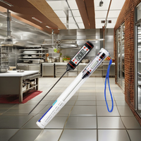 Termometer Dapur Digital 2026 Bahan Stainless Steel Food Grade Layar LCD OEM ODM Probe 150mm untuk Memanggang Daging Panggangan Rumah Tangga