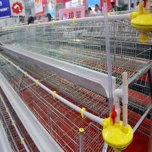 Venta Directa de Fábrica Silver Star, Jaula de Batería para Aves de Corral de <span class=keywords><strong>3</strong></span> Niveles y 120 Capas para Granjas Nigerianas - Product Image 6